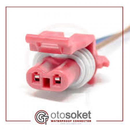 KANİSTER SELENOİDİ SOKETİ ENJEKTÖR SOKETİ DELPİ TİP ( 5 ADET FİYAIDIR )